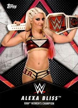 WWE_Trading_Card_073.jpg