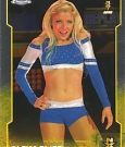 WWE_Trading_Card_001.jpg