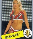 WWE_Trading_Card_007.jpg