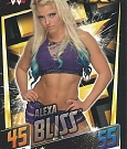 WWE_Trading_Card_008_1.jpg