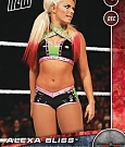 WWE_Trading_Card_047.jpg