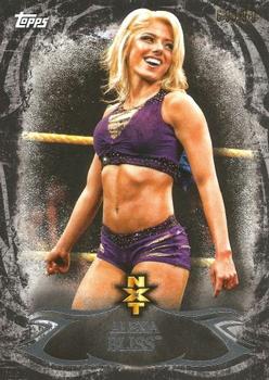 WWE_Trading_Card_010.jpg